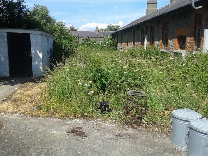 This image has an empty alt attribute; its file name is fb_img_15826697246221.jpg